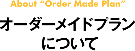 ライトプランについて